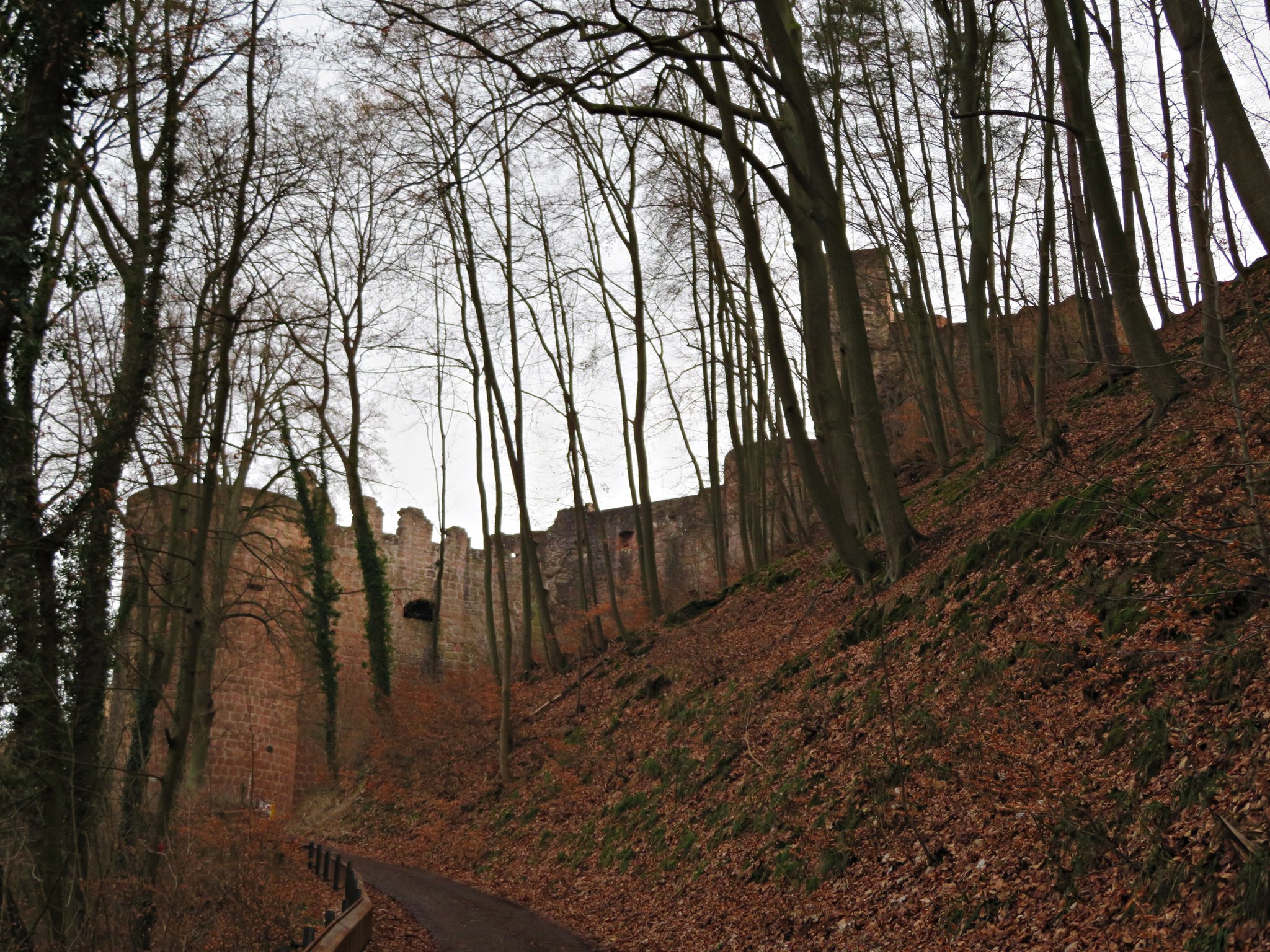 BriMel unterwegs Ausflugstipp zur Hardenburg Bad Dürkheim