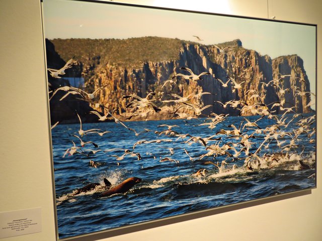 Ein hervorragendes Foto von Tina Krauß' Urlaub | Foto: Brigitte Melder