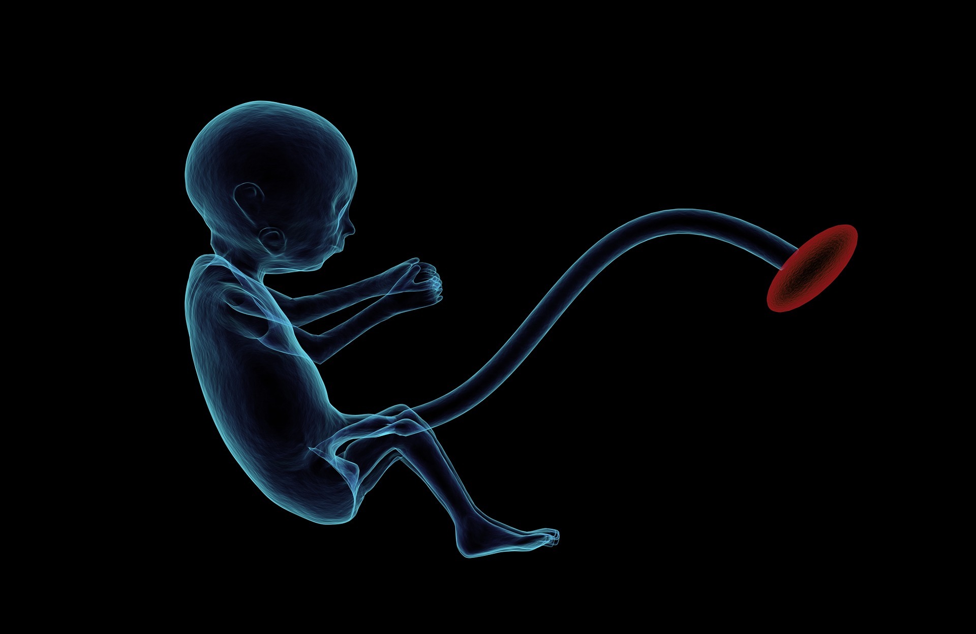 "Dein Kind trinkt mit", warnt eine neue Sonderausstellung für Schwangere, die sich um die Beeinträchtigung von Babys im Mutterleib dreht.