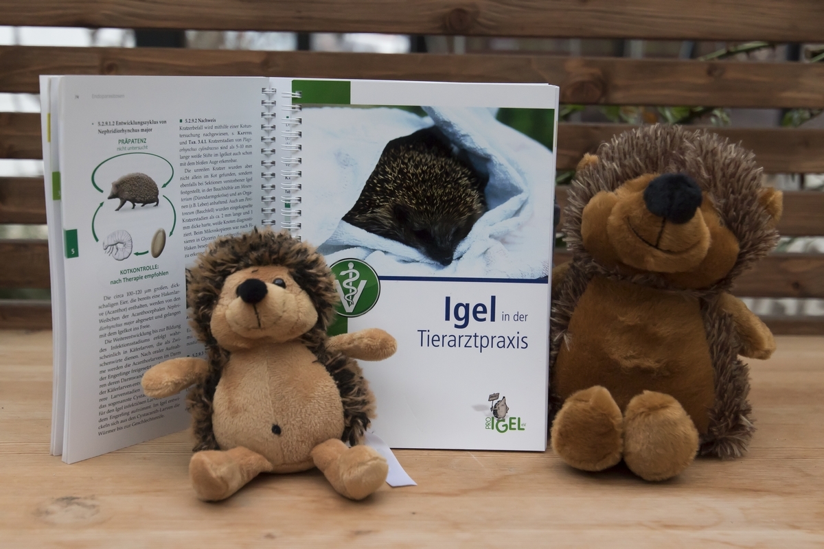 Die Frankenthaler Stadtwerke engagieren sich für Igel.
