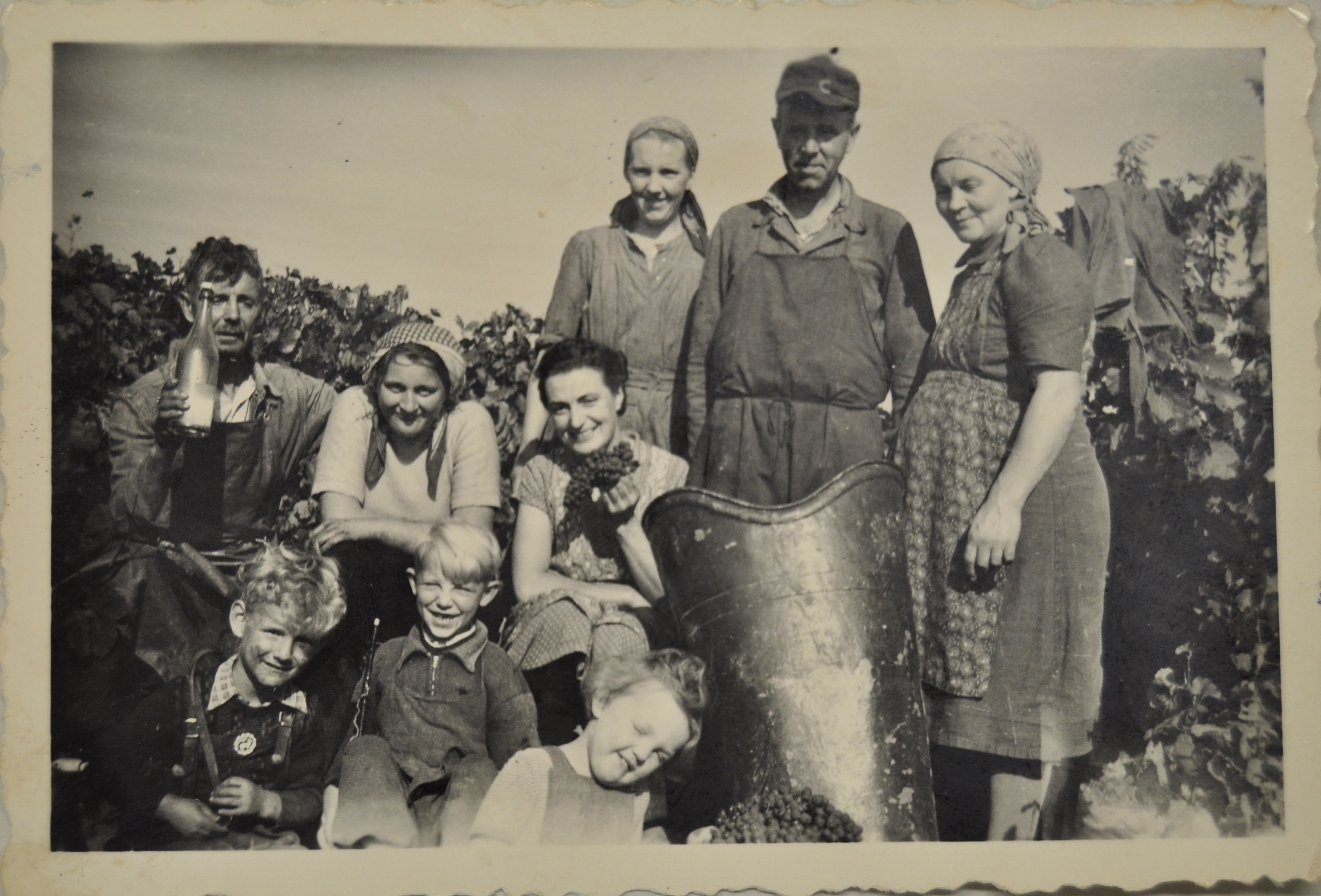 Das Foto stammt von der Weinlese 1969 in Rheinhessen. Weitere Fotos aus diesem Jahr werden gesucht.