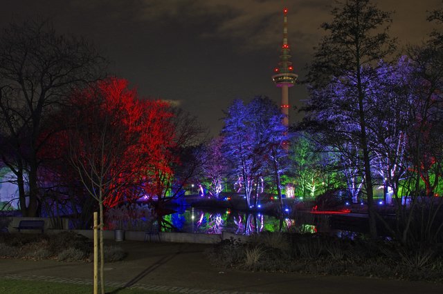 Foto: Ilona Schäfer