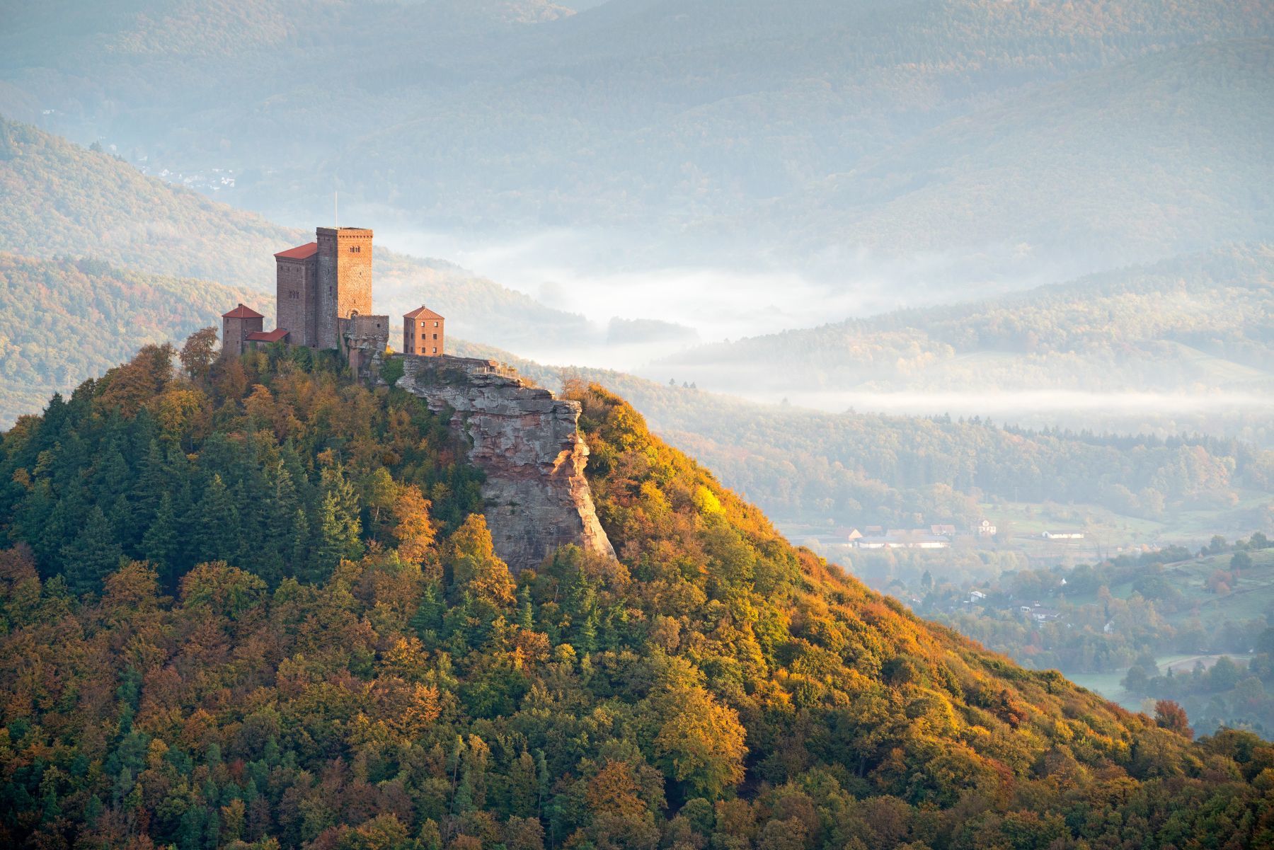 Das Biosphärenreservat Pfälzerwald-Nordvogesen ist eines von 17 deutschen Biosphärenreservaten und eines von 686 weltweit. Hier die Burg Trifels im Licht der Morgensonne.