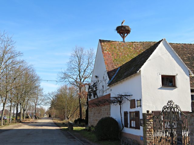 An der Aumühle in Haßloch | Foto: Brigitte Melder