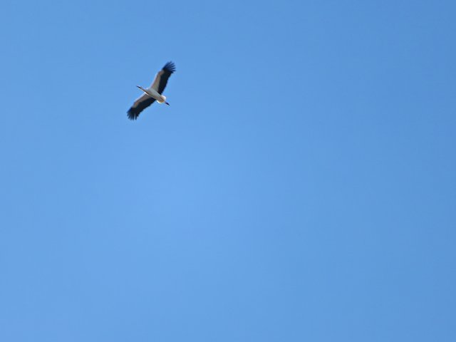 Im siebten Himmel | Foto: Brigitte Melder