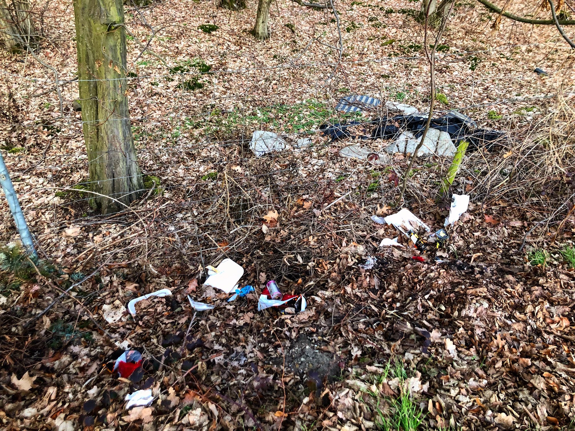 Am zweiten Märzwochenende ist es wieder so weit: in Speyer startet der 17. kollektive Frühjahrsputz.