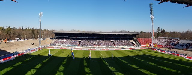 Wildpark im Derby-Fieber | Foto: jow