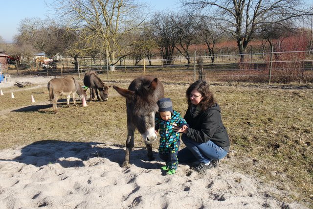 Tierische Begegnung. | Foto: Bender