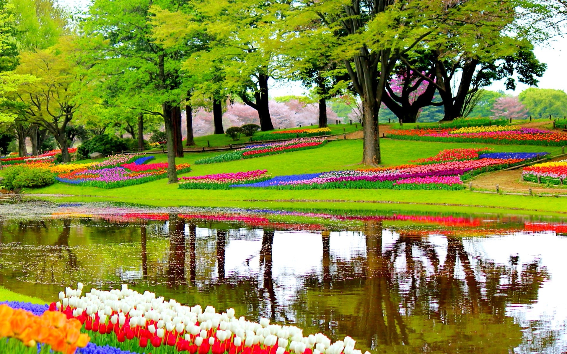 Der Keukenhof fasziniert mit seiner farbenfrohen Blütenpracht nur für zwei Monate im Jahr.
