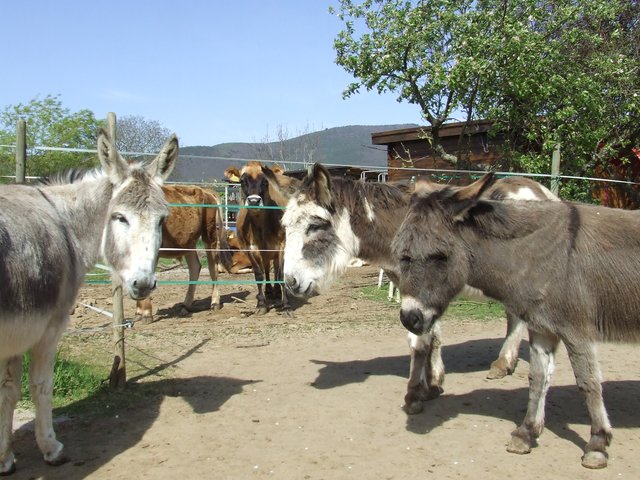 Foto: Dühr- Bien