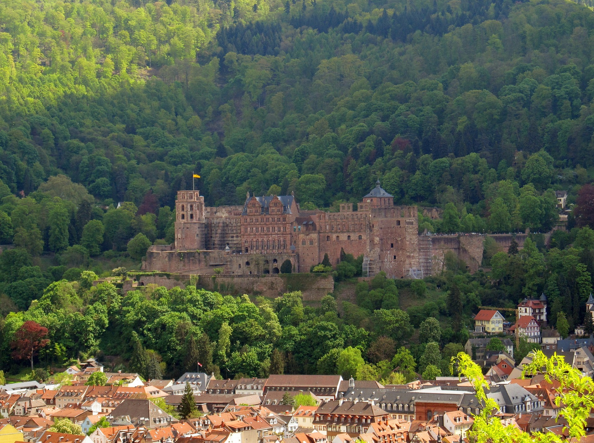 Nach Heidelberg führt eine Exkursion der EnergieAgentur Neustadt-Speyer/Südpfalz.