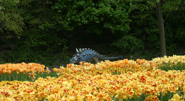 der Mai in voller Blüte
