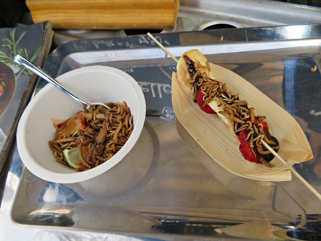 Lecker! Heuschrecken und Mehlwürmer | Foto: Brigitte Melder