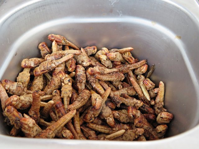 So sehen sie appetitlich zum Verzehr aus | Foto: Brigitte Melder