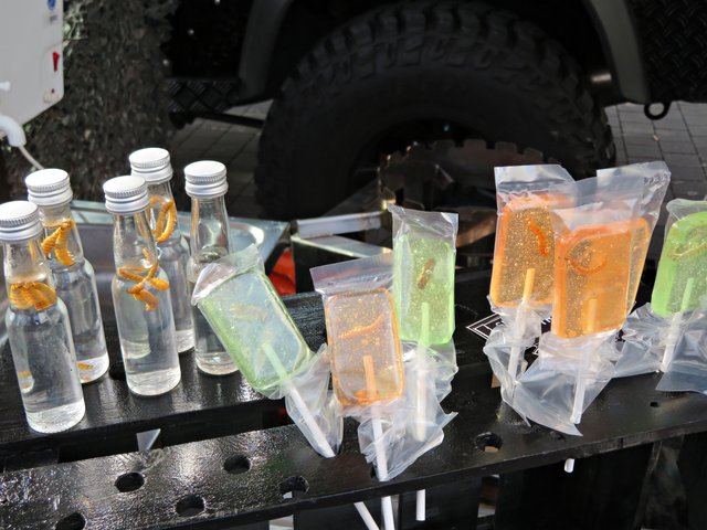 Wie wäre es mit einem Insektenlutscher? | Foto: Brigitte Melder