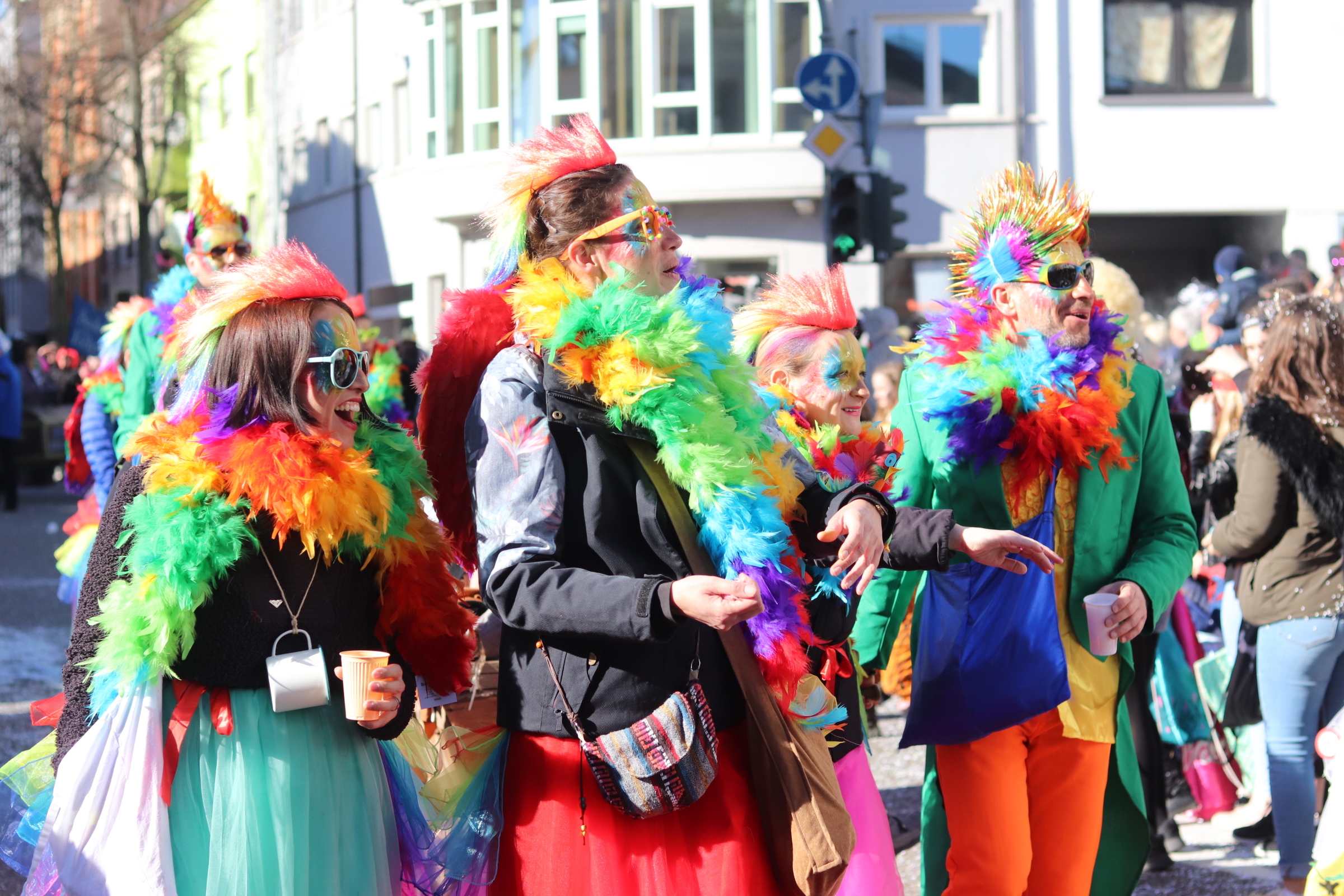 Bunte Paradiesvögel