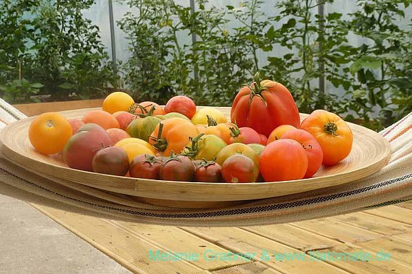Die Aussteller des Pfälzer bieten Saatgut, Pflanzen und Obstbäume alter Sorten und noch einiges mehr an.