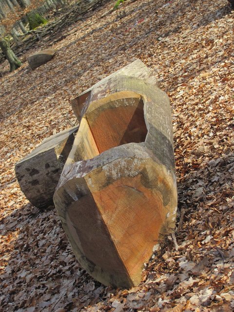 ja wie ein Holzbootswerft im Wald............etwa Vorsorge vor Hochwasser?