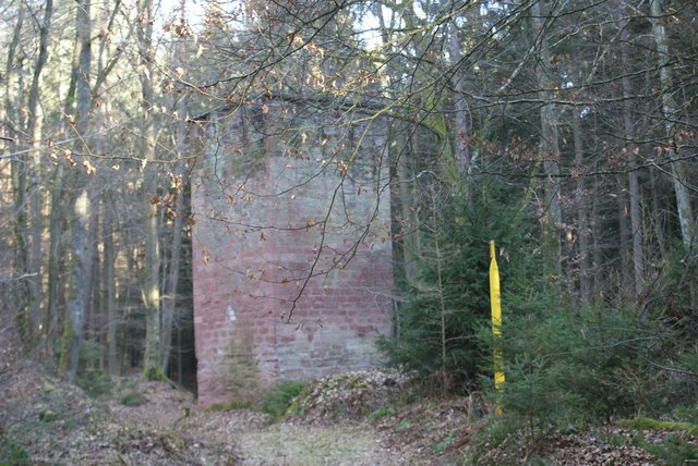 Foto: Klaus-Peter Schäfer