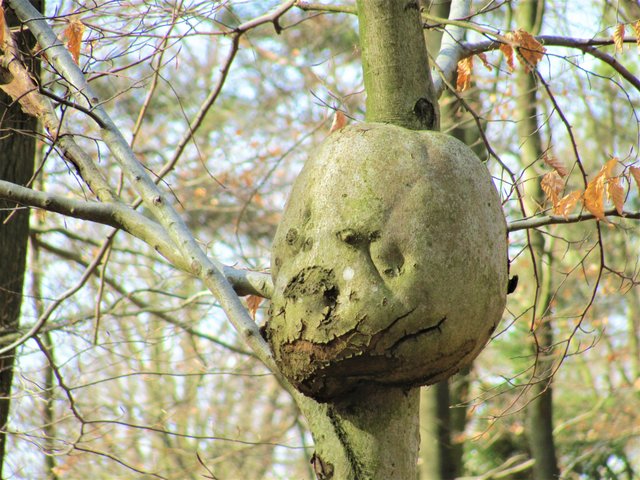 und über allem wacht der Wildparkgeist....und wehe wehe..
