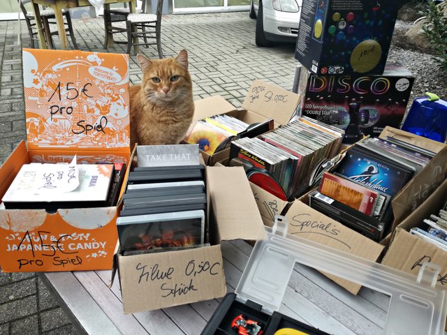 Was sucht die Katze? DVDs, Spiele oder doch einen Cats-Film? | Foto: Brigitte Melder