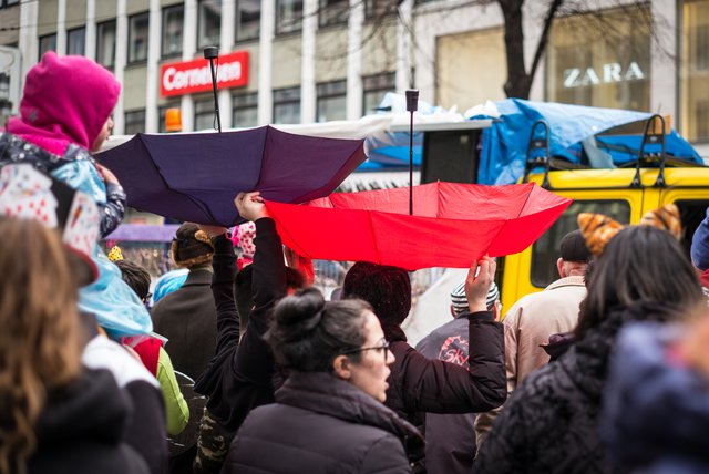 Regenschirme als Kamellefänger. | Foto: Gaier