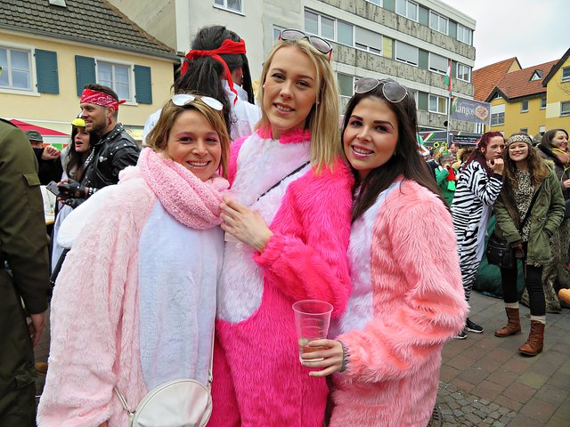 Drei rosafarbene hübsche Bunnies | Foto: Brigitte Melder