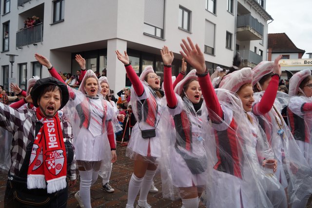 Der Carnevalsverein Herschberger Narren | Foto: Walter