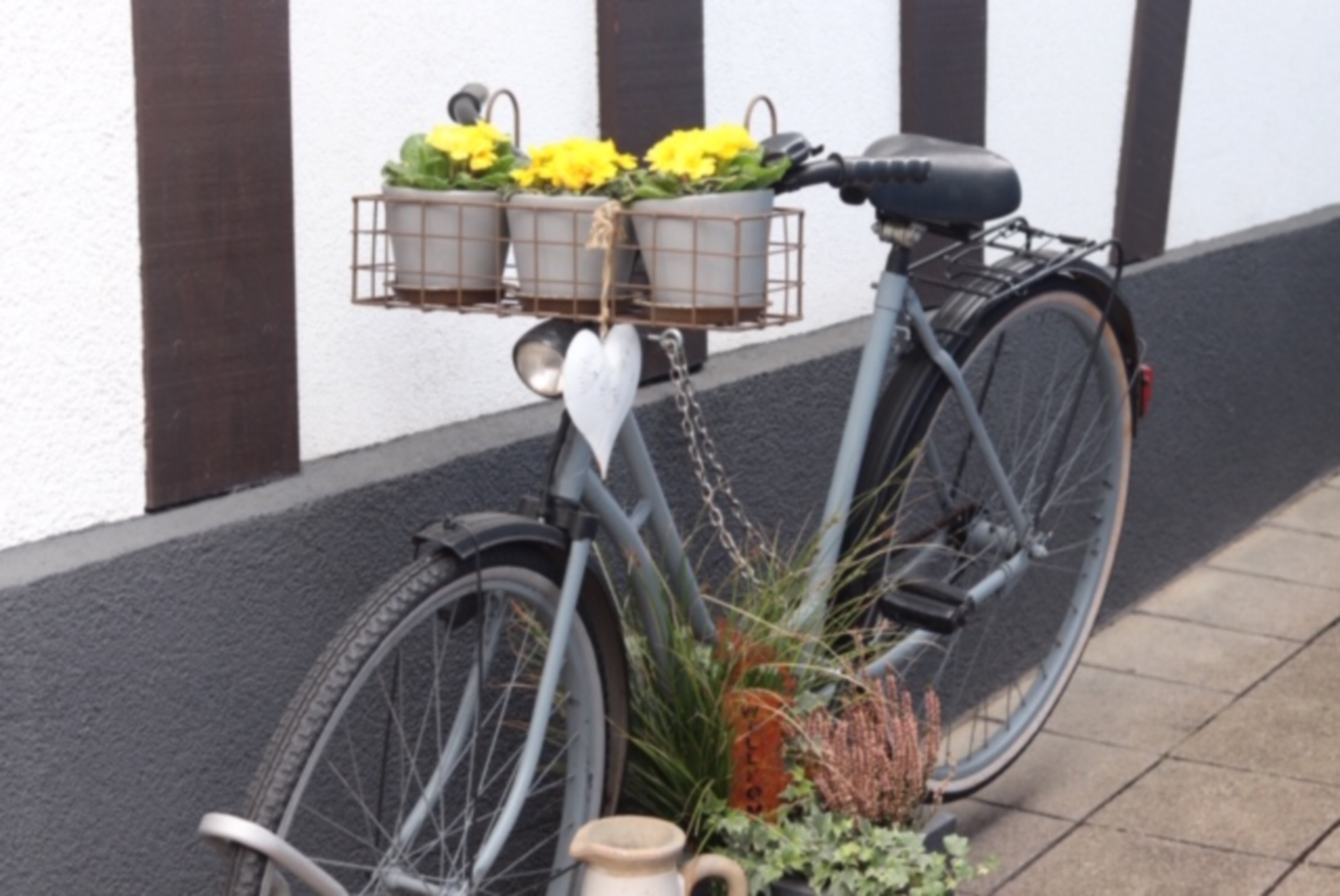 Die ersten Frühlingsboten künden von längeren Tagen und wärmenden Sonnenstrahlen. Am Wochenende feiert man in Graben den Frühling.
