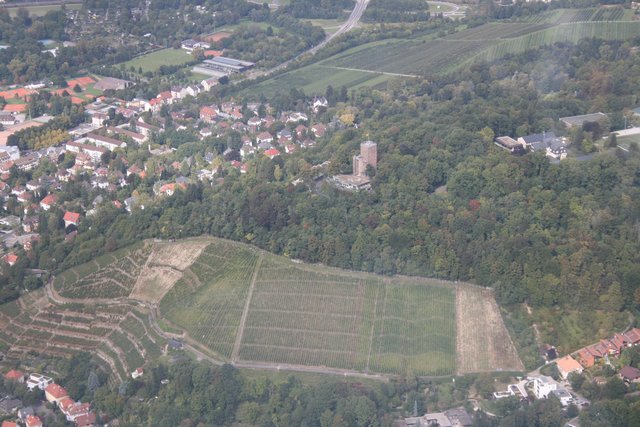Blick auf den Turm | Foto: Helfer
