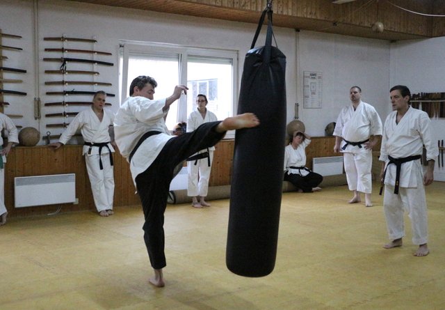 Sensei Christian Lind demonstriert die Übungsweise von Tritttechniken | Foto: ps