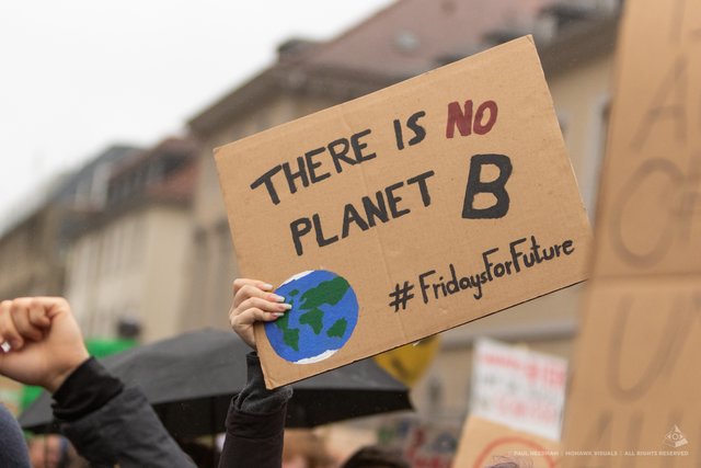Fridays For Future, Karlsruhe | Foto: Paul Needham