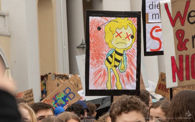 Fridays For Future, Karlsruhe | Foto: Paul Needham