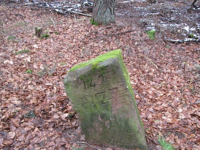 Foto: I. Schüler