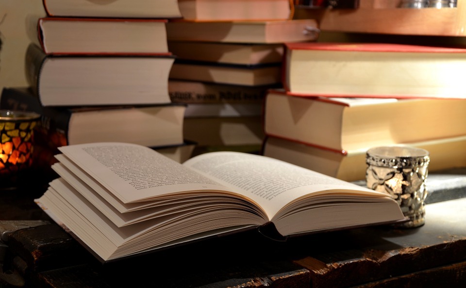 Trotz Digitalisierung kommen Bücher noch lange nicht aus der Mode.