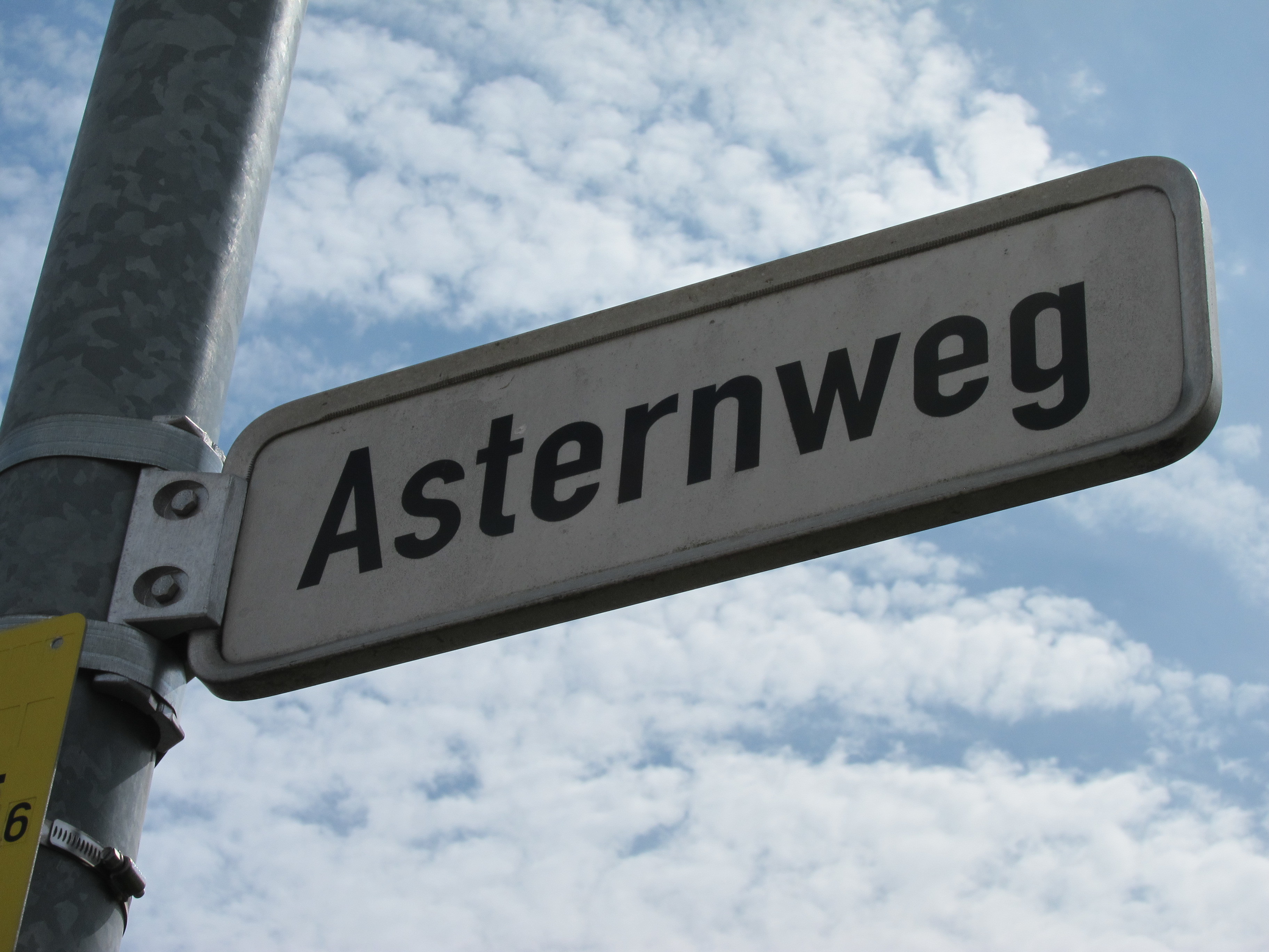 Der der Wohnungsbestand im Asternweg soll schneller saniert werden