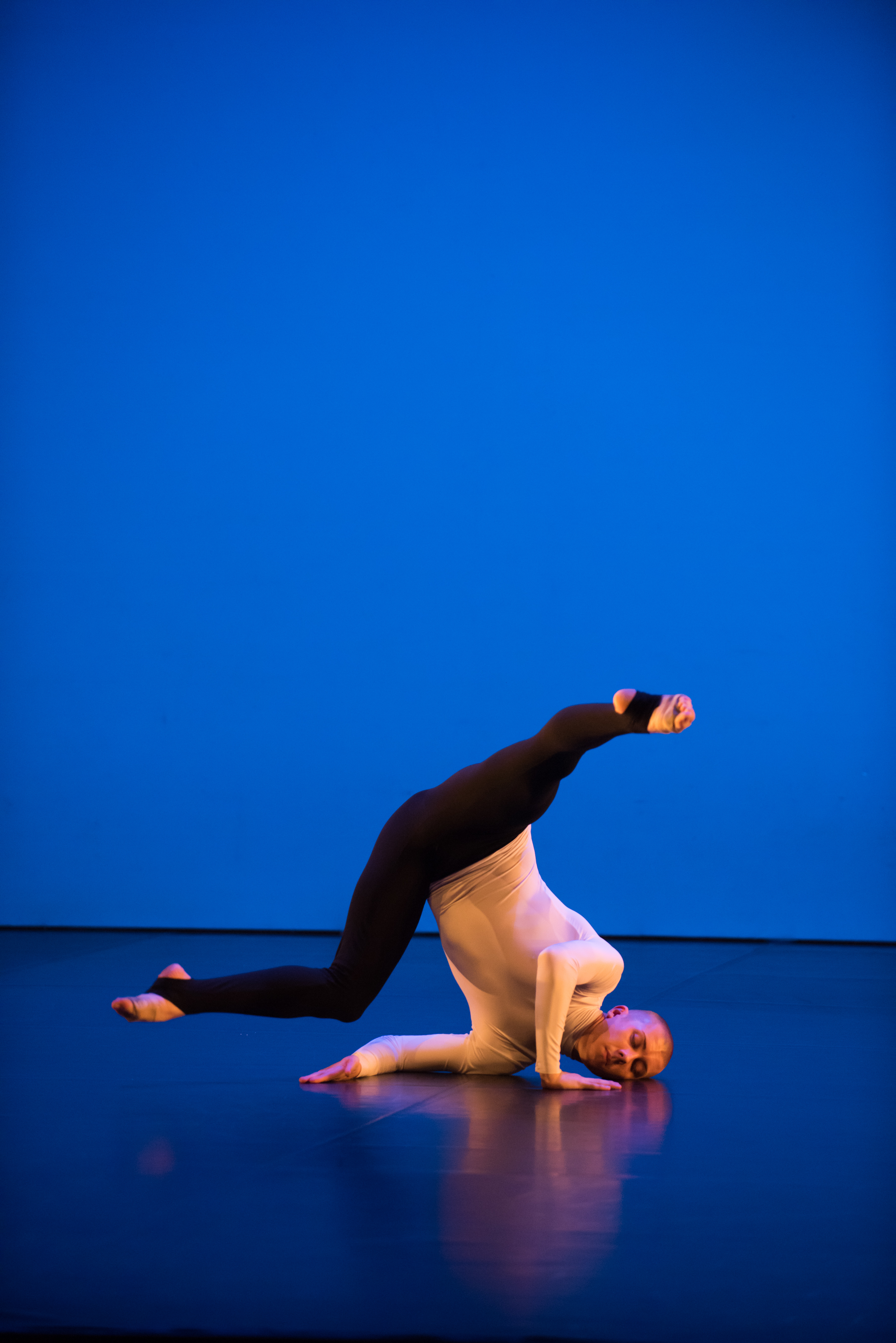 Stilvolle Choreographie erwartet die Besucher.
