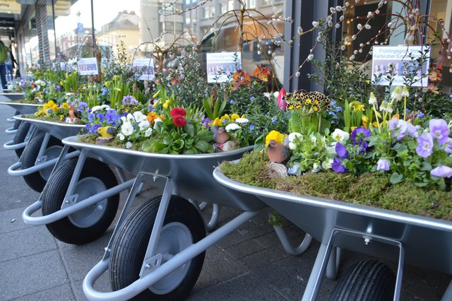 „Karlsruher Köpfe“ begrüßen den Frühling