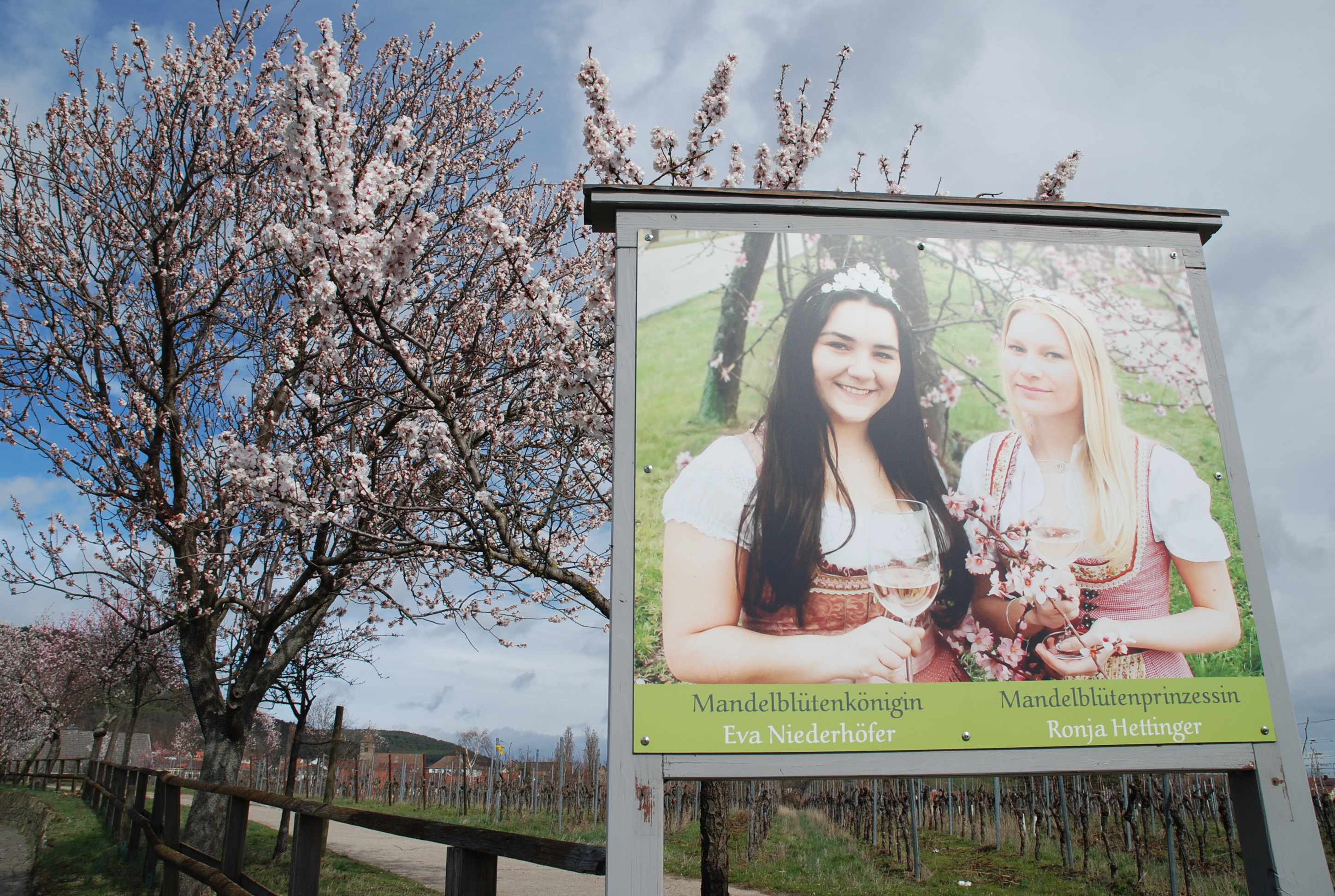 Am Ortseingang grüßen Mandelblütenkönigin Eva Niederhöfer und Mandelblütenprinzessin Ronja Hettinger.