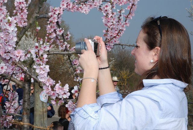 Mandy - das wohl beliebteste deutsche Fotomotiv, entdeckt am letzten Wochenende in Gimmeldingen. | Foto: Pacher