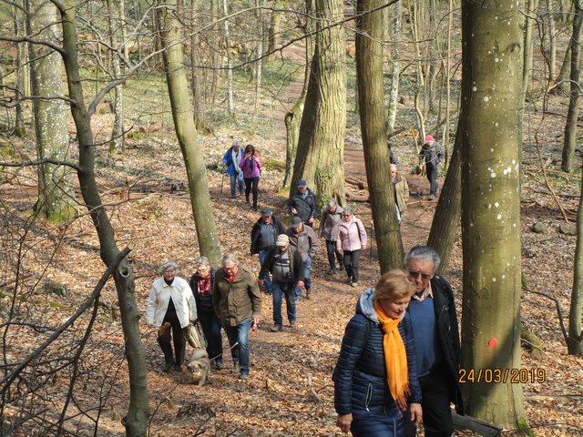 Foto: I. Schüler