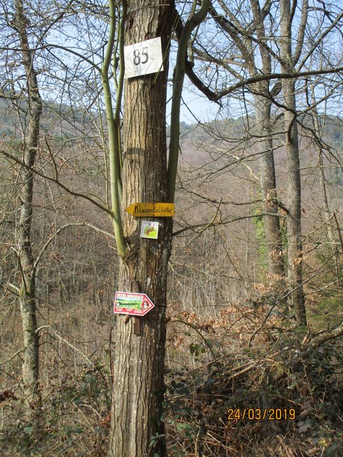 Foto: I. Schüler