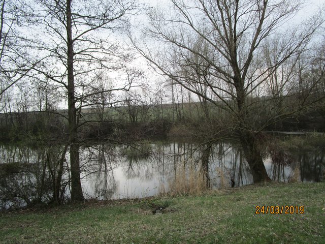 Foto: I. Schüler
