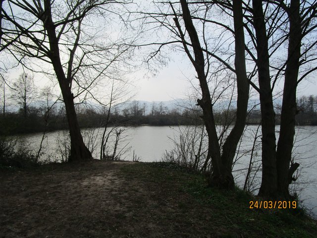 Foto: I. Schüler