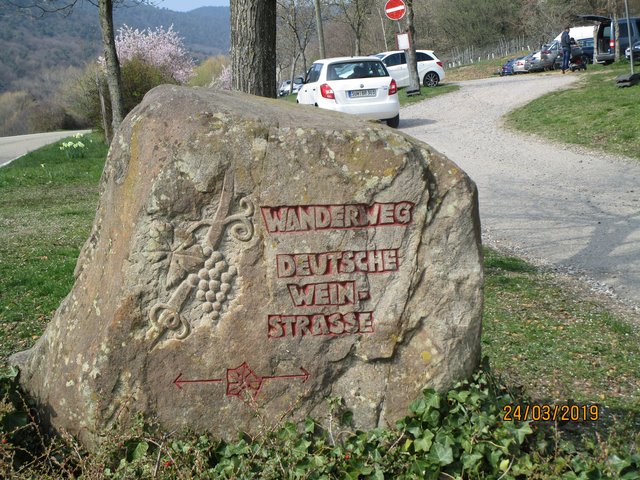 Foto: I. Schüler