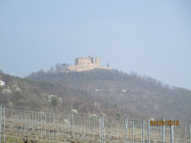 Foto: I. Schüler