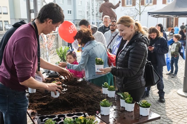 Von der Stadt Bruchsal gab es Blumengrüße zum Start in den Frühling.  | Foto: Paul Needham