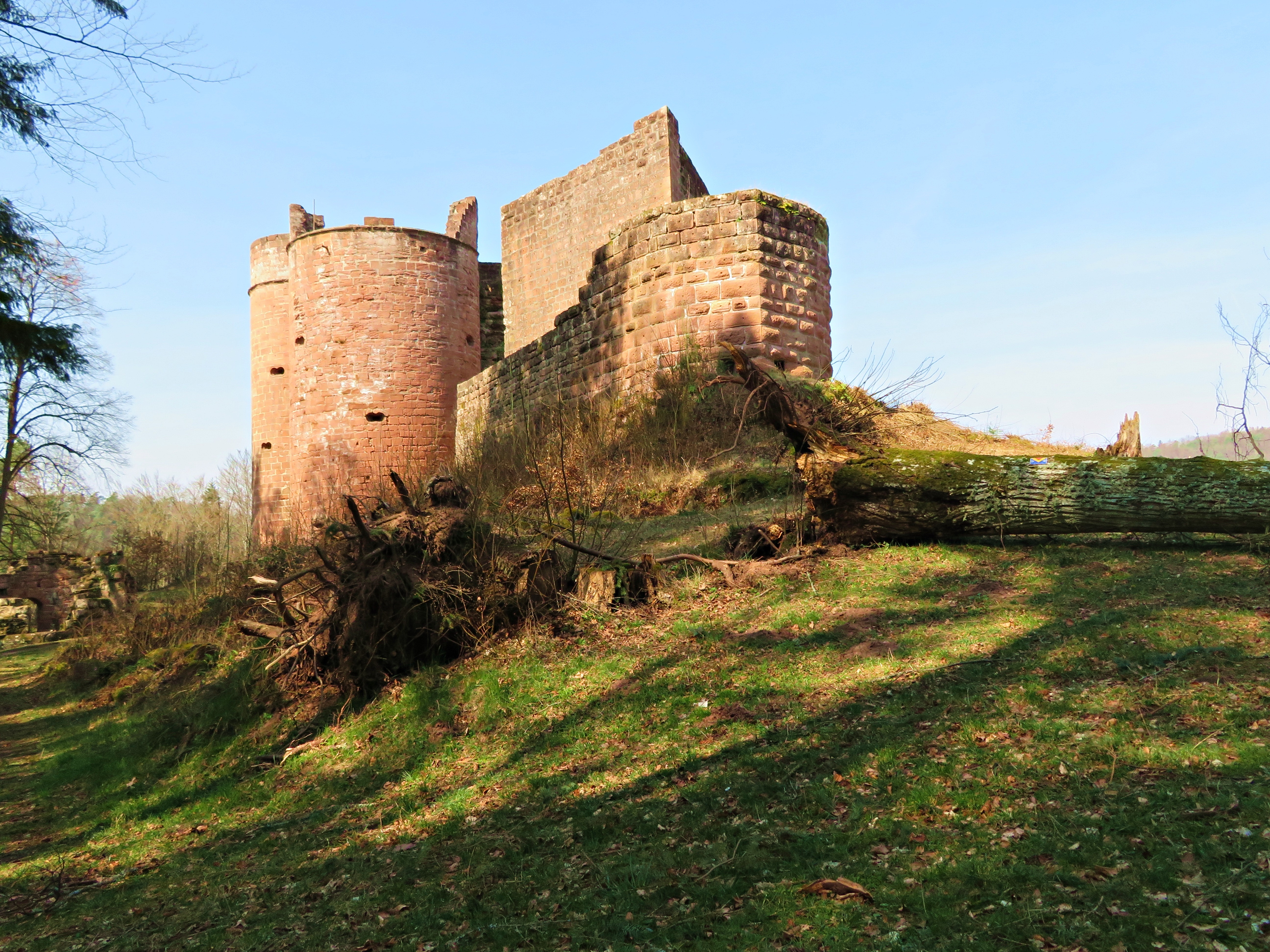 Burg Neu-Dahn