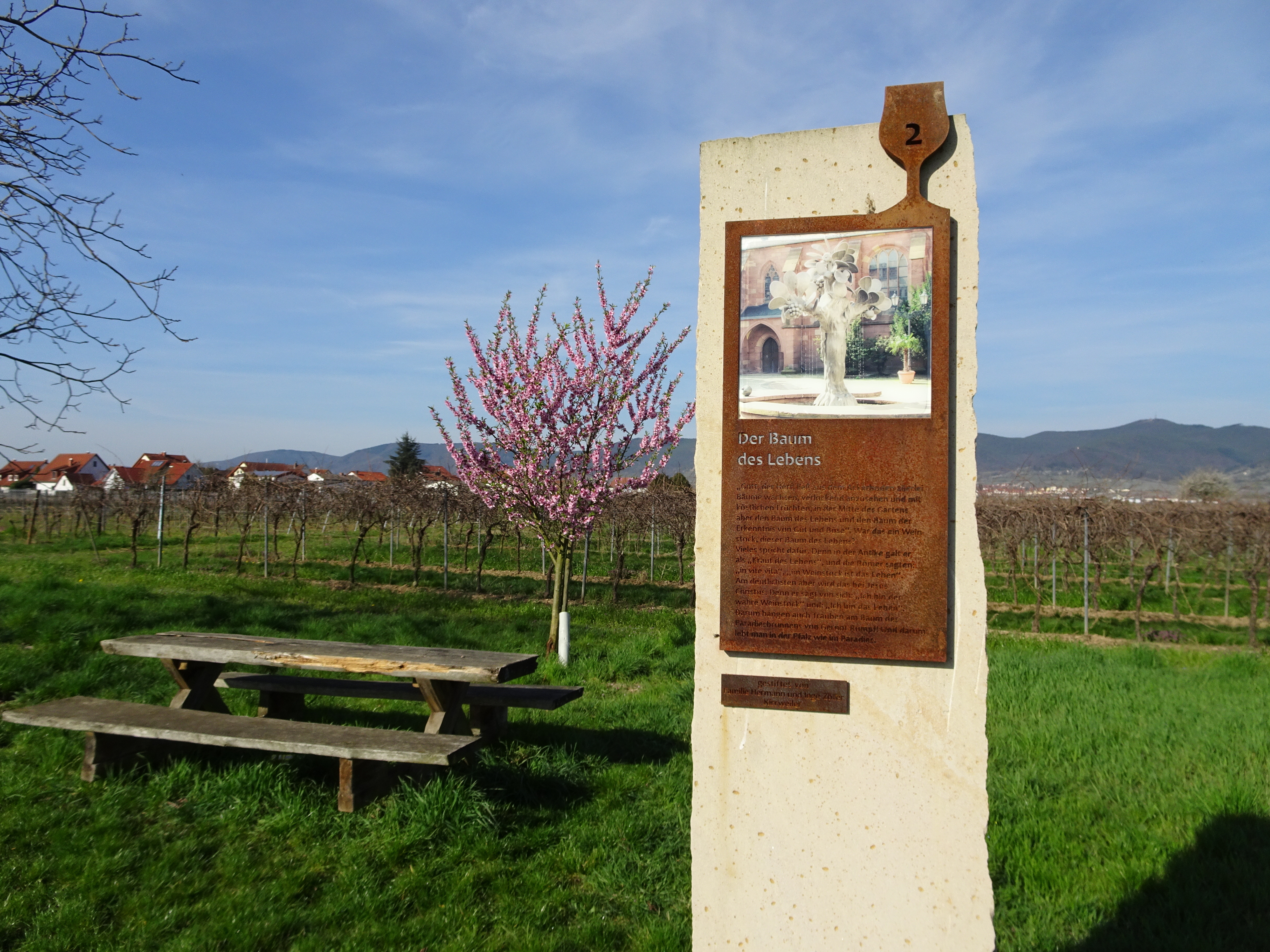 Der Biblische Weinpfad zu Kirrweiler ist als erster zertifizierter barrierefreier Wanderweg in Rheinland-Pfalz mit dem Siegel „Reisen für Alle“ ausgezeichnet worden.