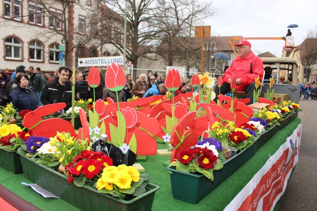 Am kommenden Sonntag heißt Böhl-Iggelheim den Frühling willkommen.